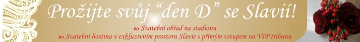 Pro�ijte sv�j den D se Slavi�!